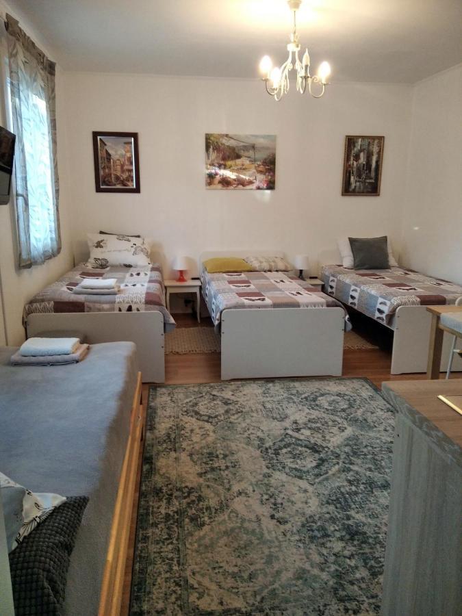 Eco-Lux Apart With Free Bicycles End Free Parking Λιουμπλιάνα Εξωτερικό φωτογραφία