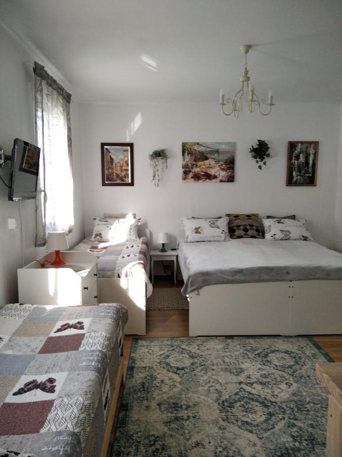 Eco-Lux Apart With Free Bicycles End Free Parking Λιουμπλιάνα Εξωτερικό φωτογραφία