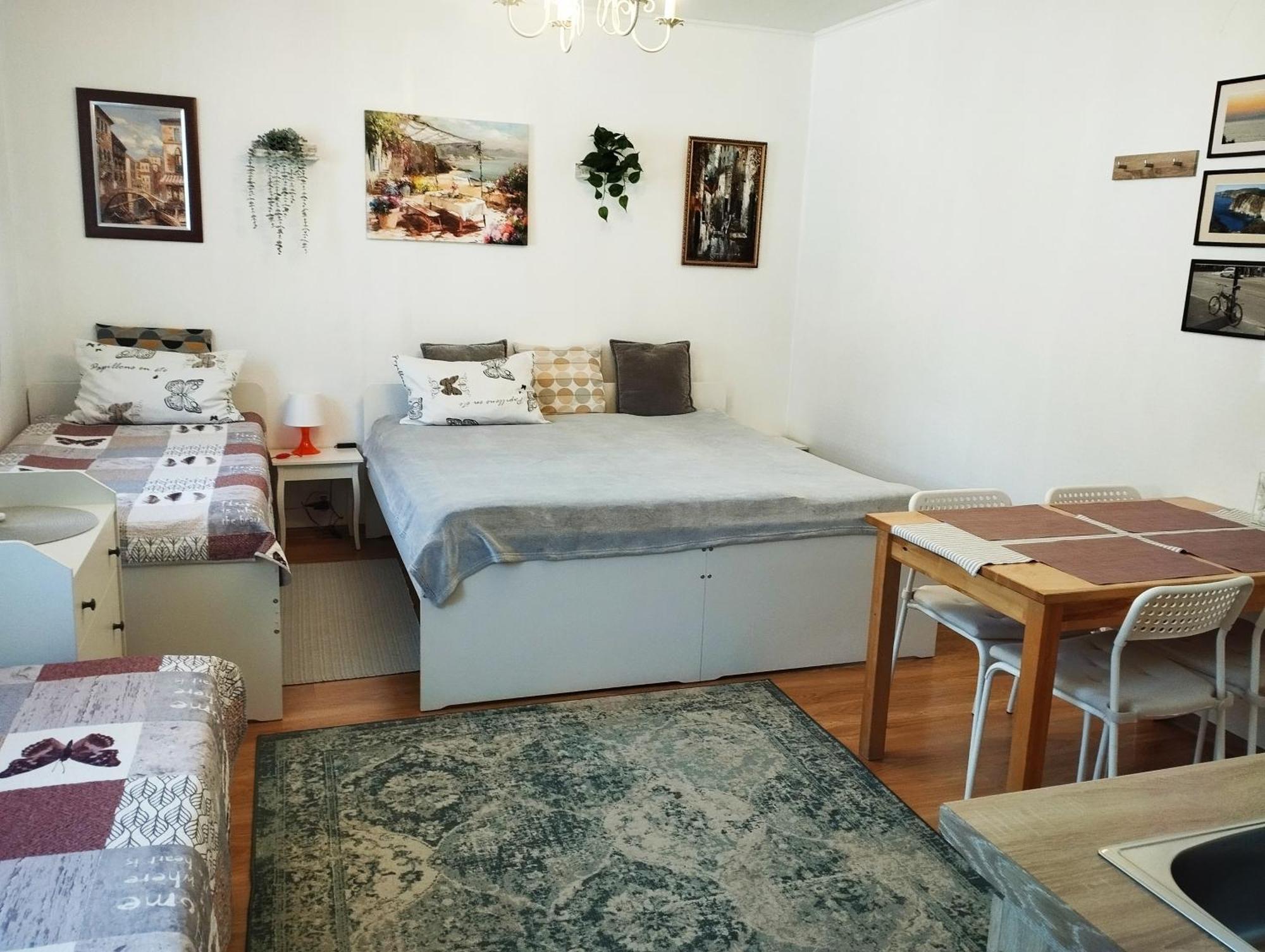 Eco-Lux Apart With Free Bicycles End Free Parking Λιουμπλιάνα Εξωτερικό φωτογραφία